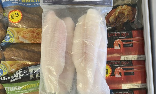 1kg+ pangasius whitefish fillets
